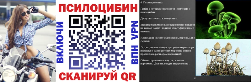 купить наркоту  Карабулак  мега ТОР  Псилоцибиновые грибы Magic Shrooms 